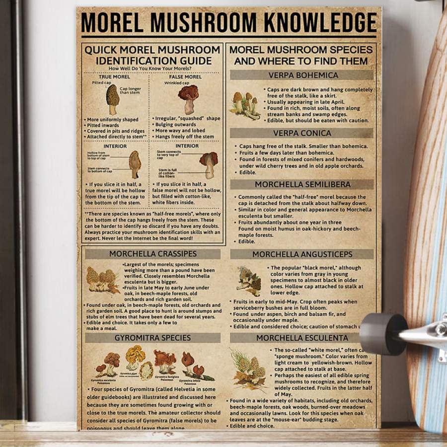 Morel Mushroom Knowledge Gift For People Poster