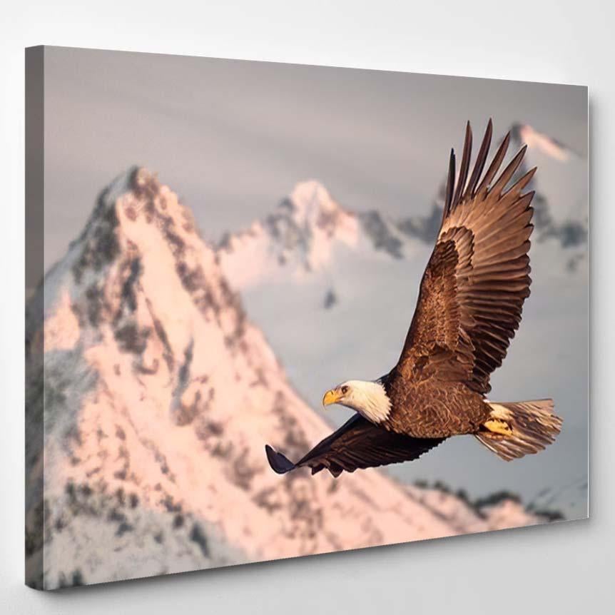 American Bald Eagle Flight Illustrated Over 1  1 – Eagle Animals Canvas Print