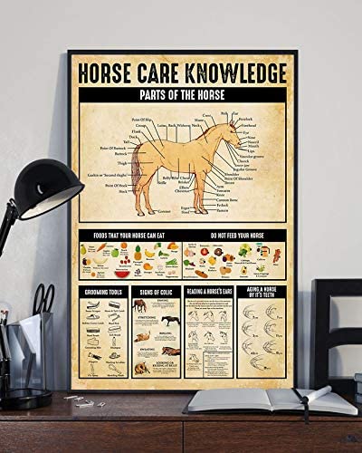 ˙Horse Care Knowledge Parts Of The Horse Foods That Your Horse Can Eat Do Not Feed Your Horse Poster