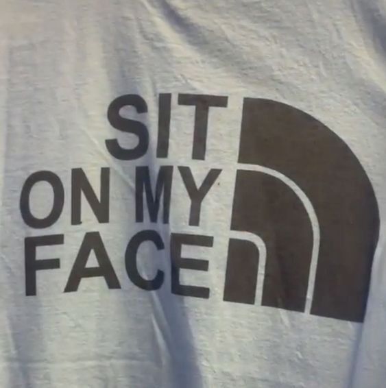 Sit On My Face The North Face Logo T Shirt