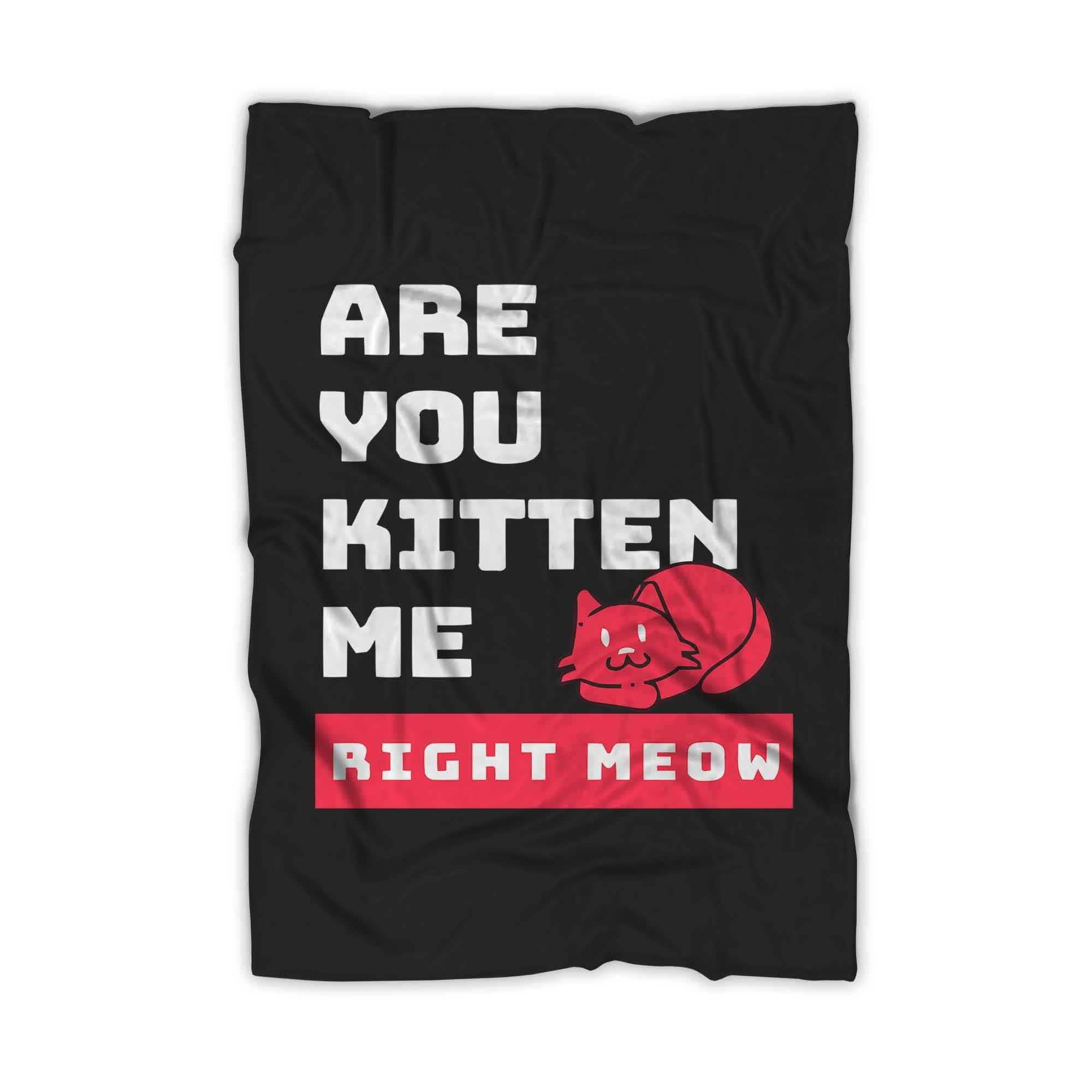 Are You Kitten Me Right Meow Two Blanket