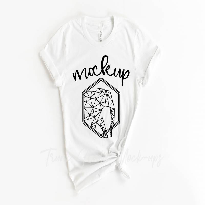 Download Bella Canvas White 3001 Mockup, Womens Blank Shirt Mock Up ...