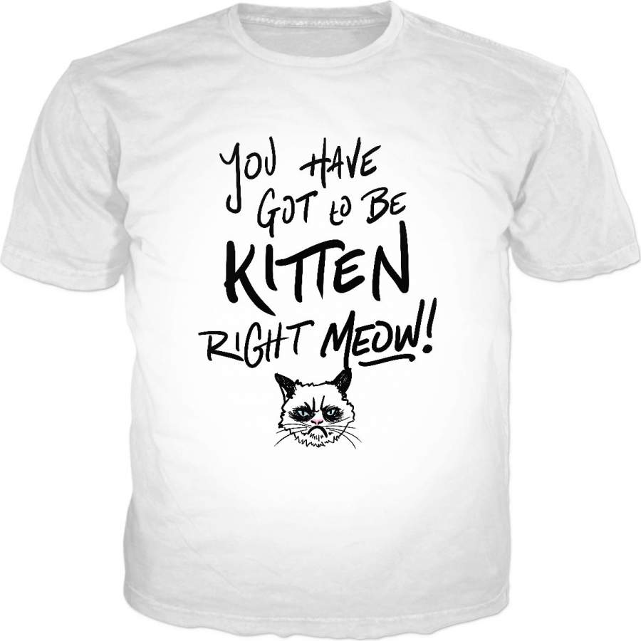 You Have Got To Be Kitten Me Right Meow! Classic T-Shirt