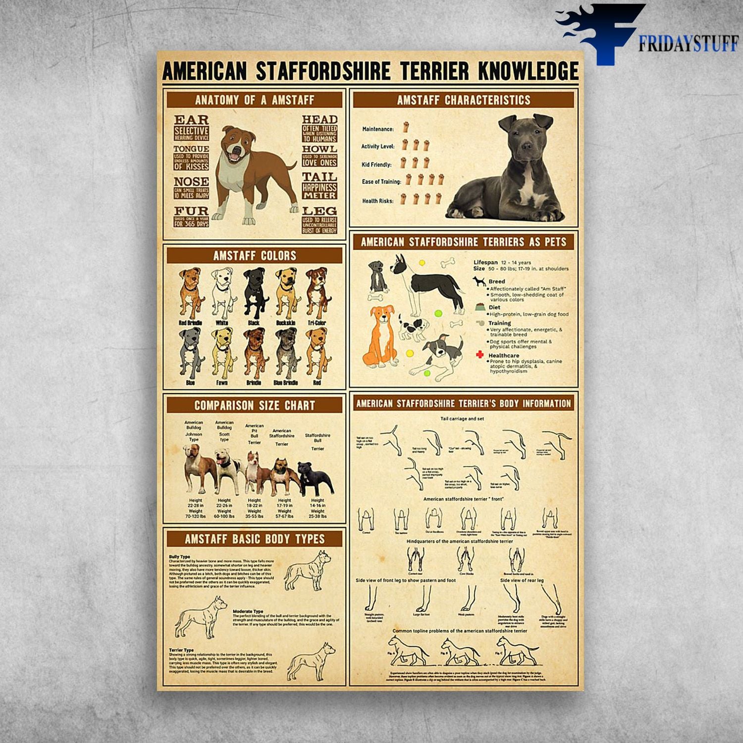 American Staffordshire Terrier Knowledge Anatomy Of A Amstaff Canvas Christmas Gift Ideas