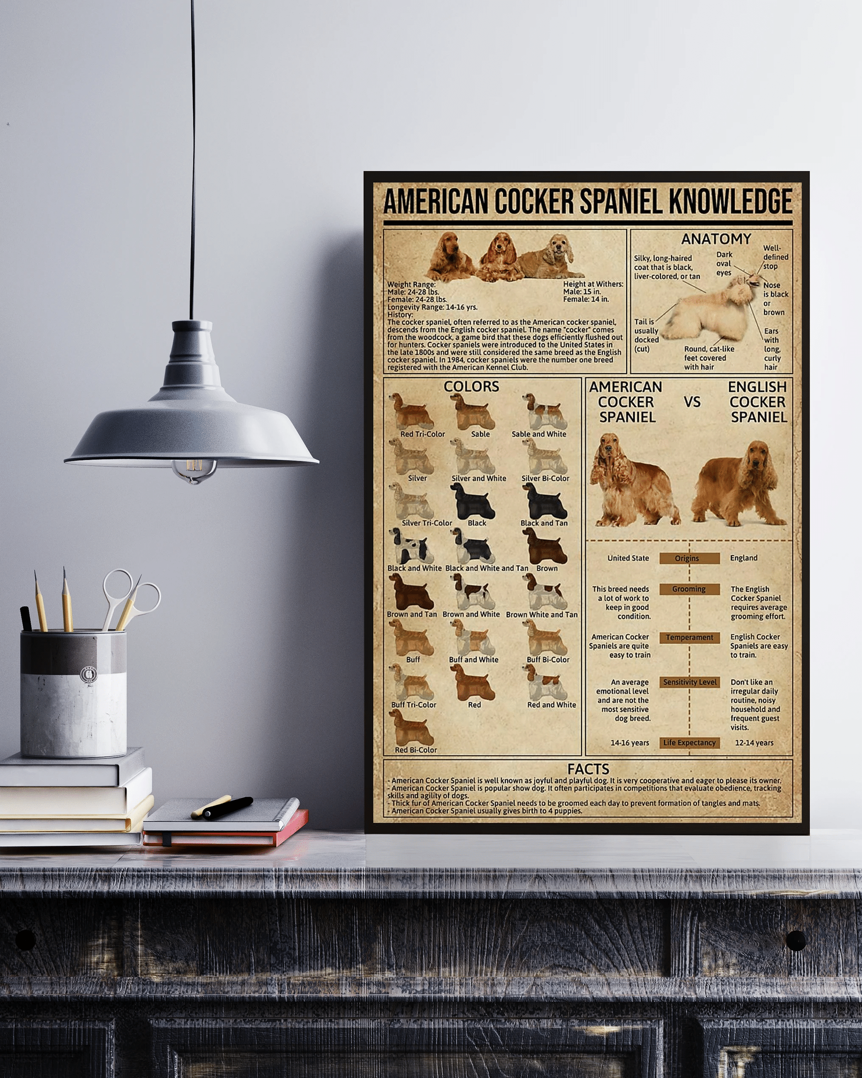 American Cocker Spaniel Knowledge Canvas Prints Poster Wall Art