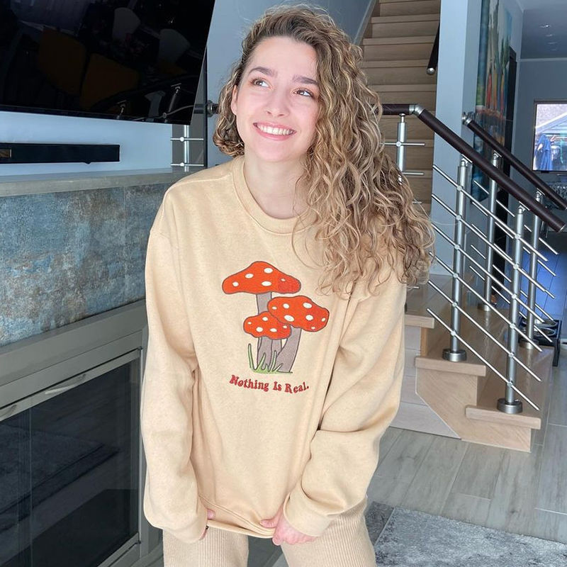 Indie Aesthetic Sweatshirts Y2K Fashion Streetwear Long Sleeve Hoodies Graphic Embroidery 90S Style Vintage Hoodies New Hoodies