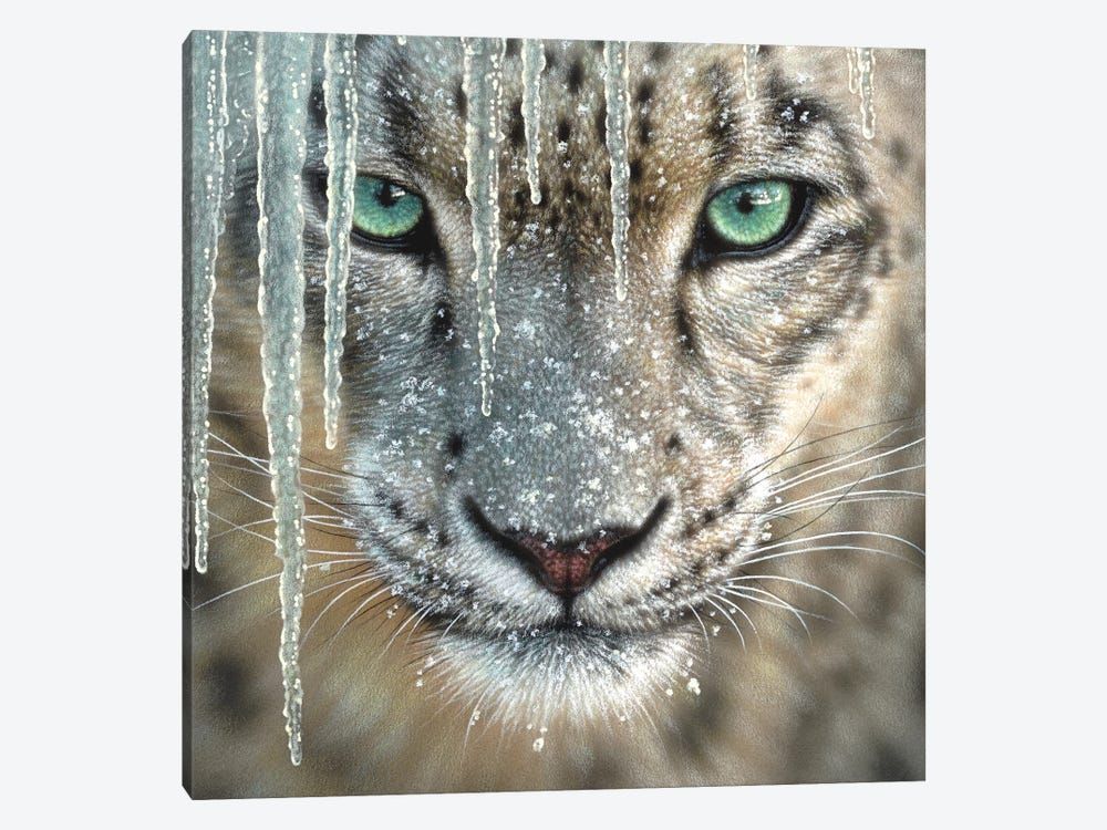 Snow Leopard – Blue Ice Canvas Poster 8″x12″ 12×18″ 18″x26″ 24″x36″ 30″x45″