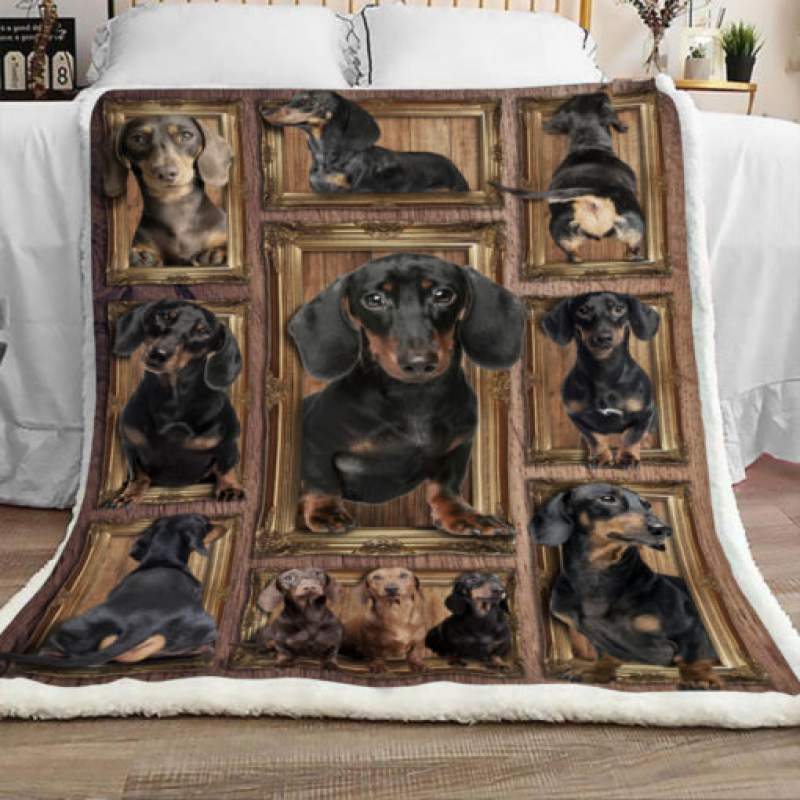 Dachshund Dog Sherpa Blanket JR3001 68O31