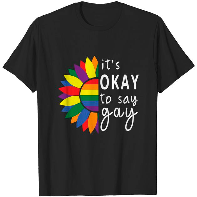 Shirt For Gay, Gift For Gay, It Is Ok To Say Gay T Shirt