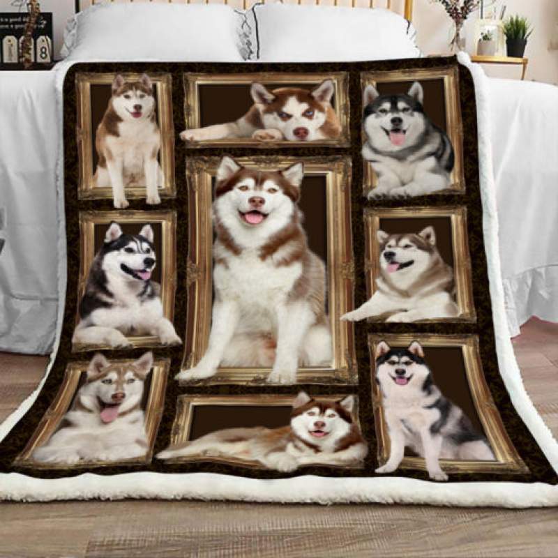 Husky Dog Sherpa Blanket JR2003 81O56