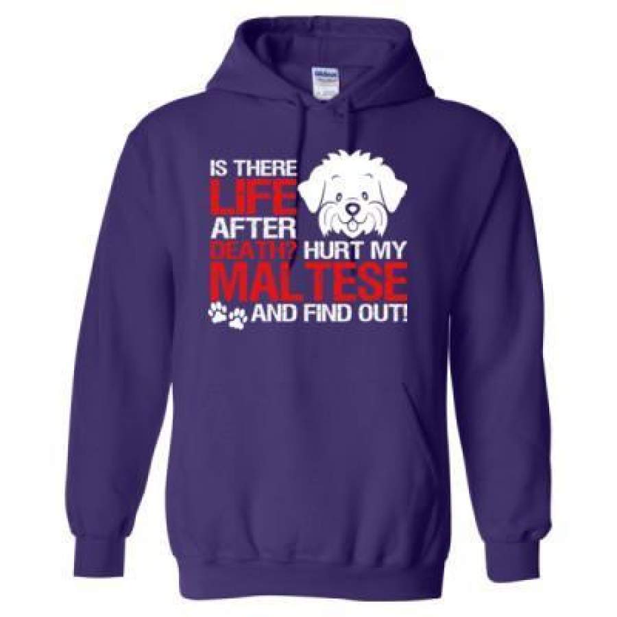 AGR Is There Life After Death Hurt My Maltese And Find Out – Heavy Blend™ Hooded Sweatshirt