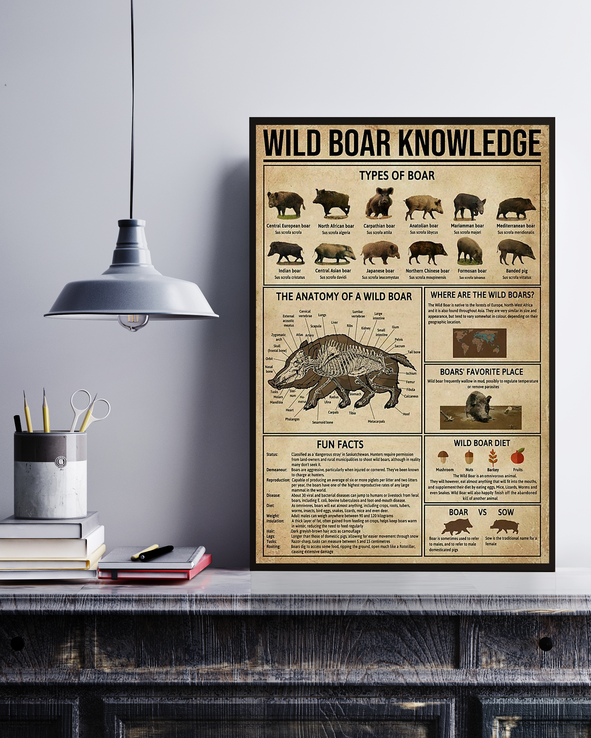 Wild Boar Poster Portrait Knowledge Poster No Frame