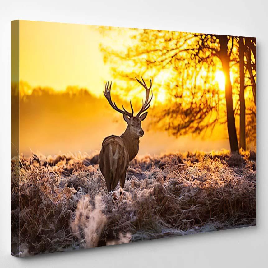 Red Deer Morning Sun 4 – Deer Animals Canvas Print