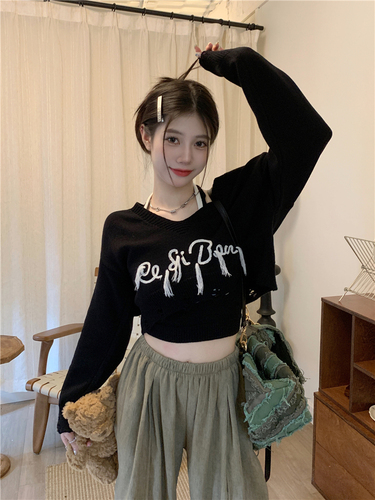 America Retro Letter Embroidery Tassel Sweater 2022 New Korean Fashion Autumn Loose Casual Pullovers with Camisole Y2k Tops alx