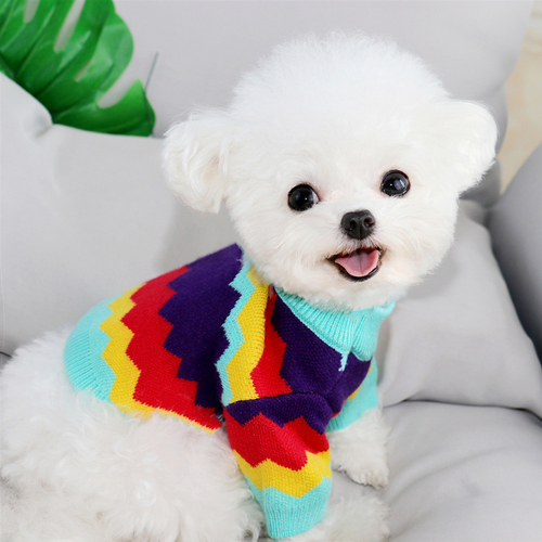 Spring Dog Sweater Knit Apparel Cat Puppy Yorkie Yorkshire Pomeranian Schnauzer Poodle Bichon Small Dog Clothing Pet Clothes alx