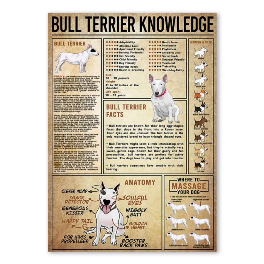 Bull Terrier Knowledge Vintage Unique  Poster  Gift  For Dog Lovers