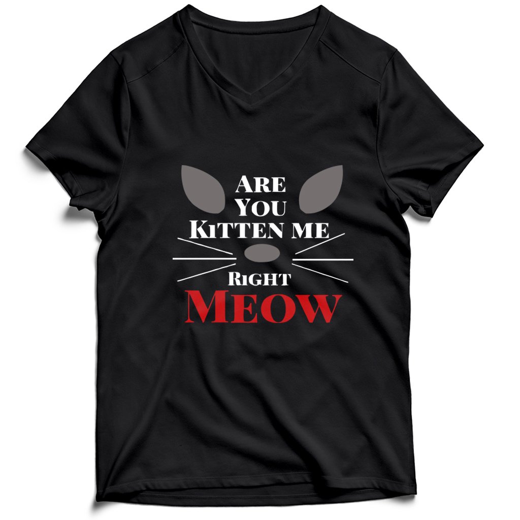 Are You Kitten Me Right Meow Nine Men’s V-Neck Tee T-Shirt