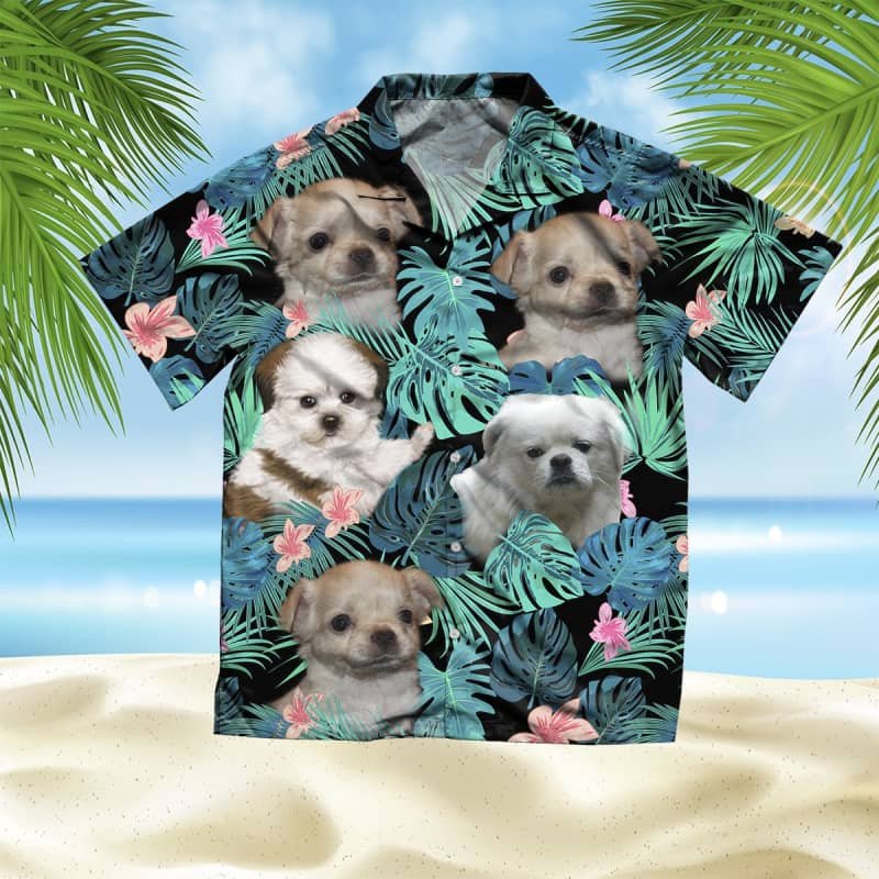 Felacia Chinese Imperial Dog Summer Leaves Hawaii Shirt Ha40408