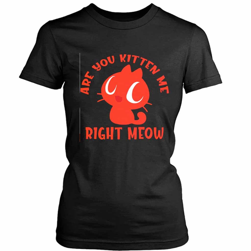 Are You Kitten Me Right Meow Are Women’s Tee T-Shirt