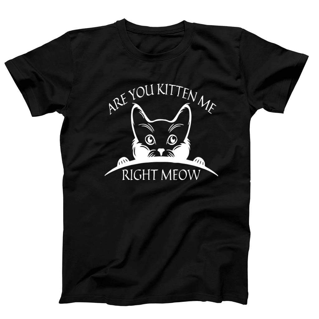 Are You Kitten Me Right Meow Cool Men’s T-Shirt Tee