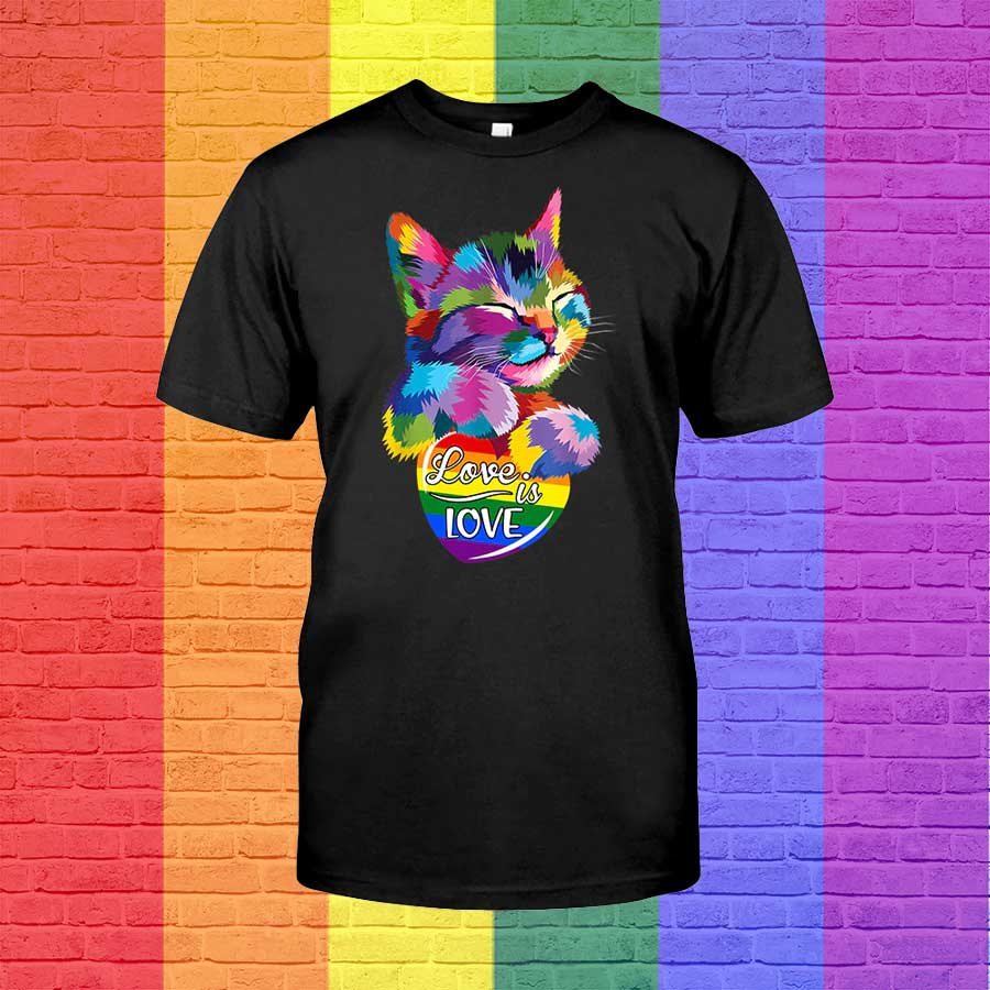 Gay Cat Shirt, Rainbow Pride Cat T Shirt, Pride Cat Shirt Love Is Love, Shirt For Pride