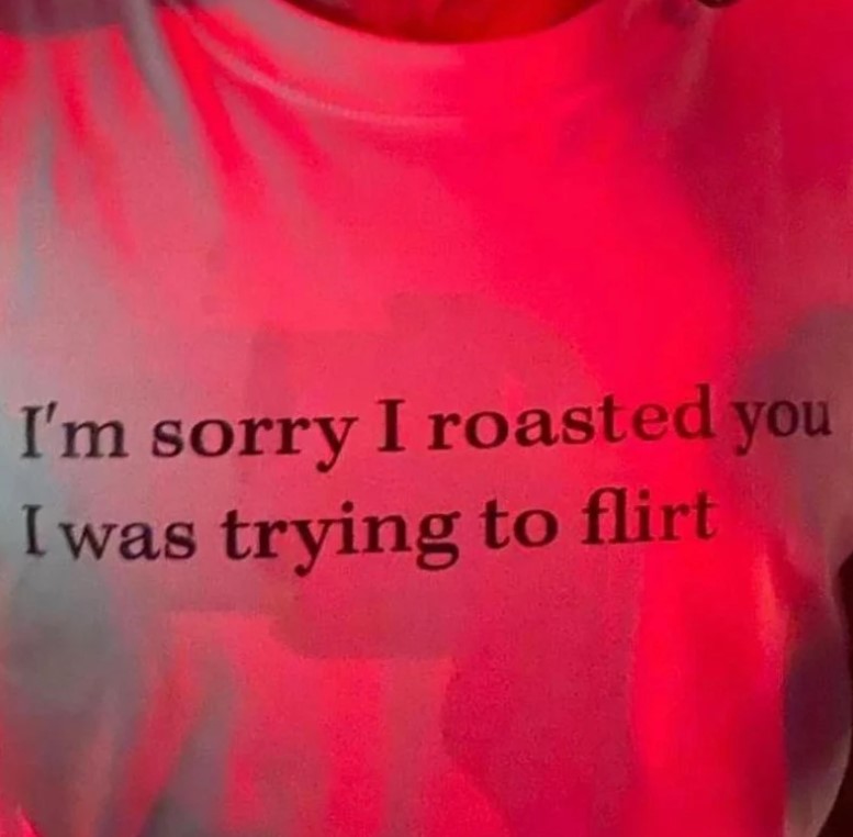 I m Sorry I Roasted You I Was Trying To Flirt Tee Shirt Outfits