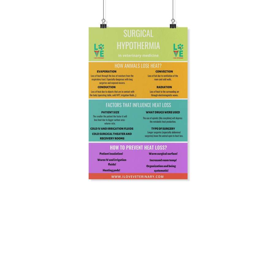 Surgical Hypothermia Poster