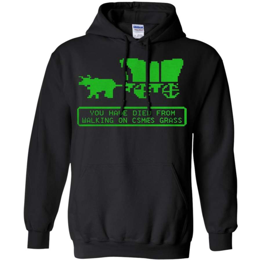 You Have Died From Walking On Csmaes Grass Hoodie – Moano Store