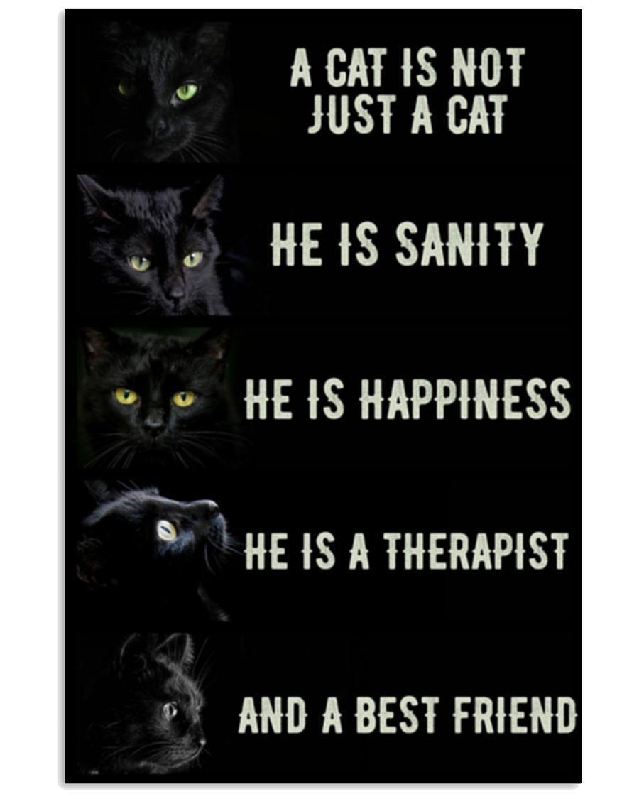 Black Cat Not Just A Cat – Best Idea Gift , Gift For Home Decor, Gift For Family – Horizontal Canvas Matte Canvas Wall Art