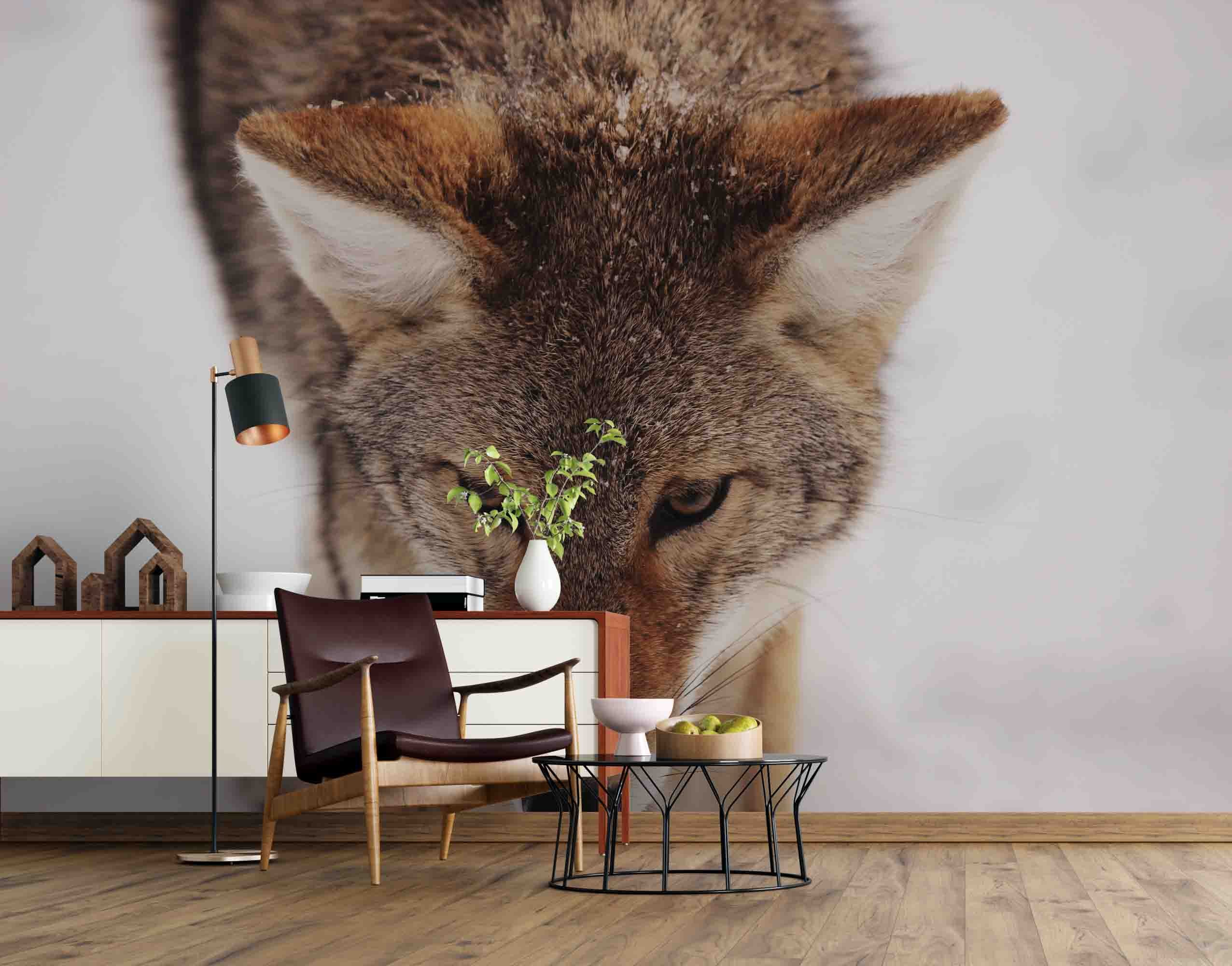 3D Wolf Animal Wall Mural Wallpaper Sf43