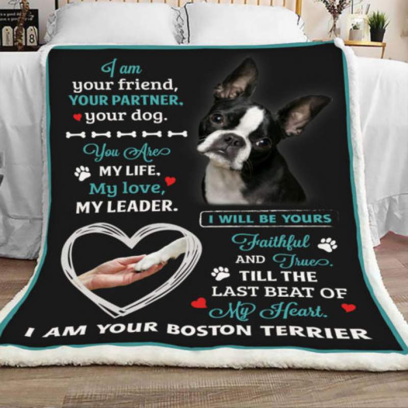 Boston Terrier Dog Sherpa Blanket FB0102 95O47