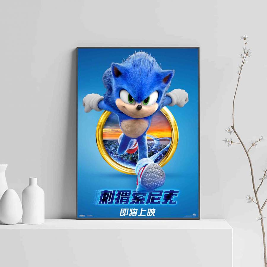 Sonic The Hedgehog Cover Poster