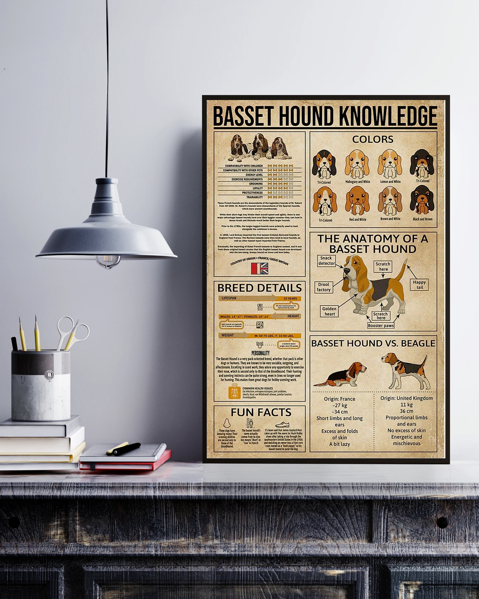 Basset Hound Knowledge Poster