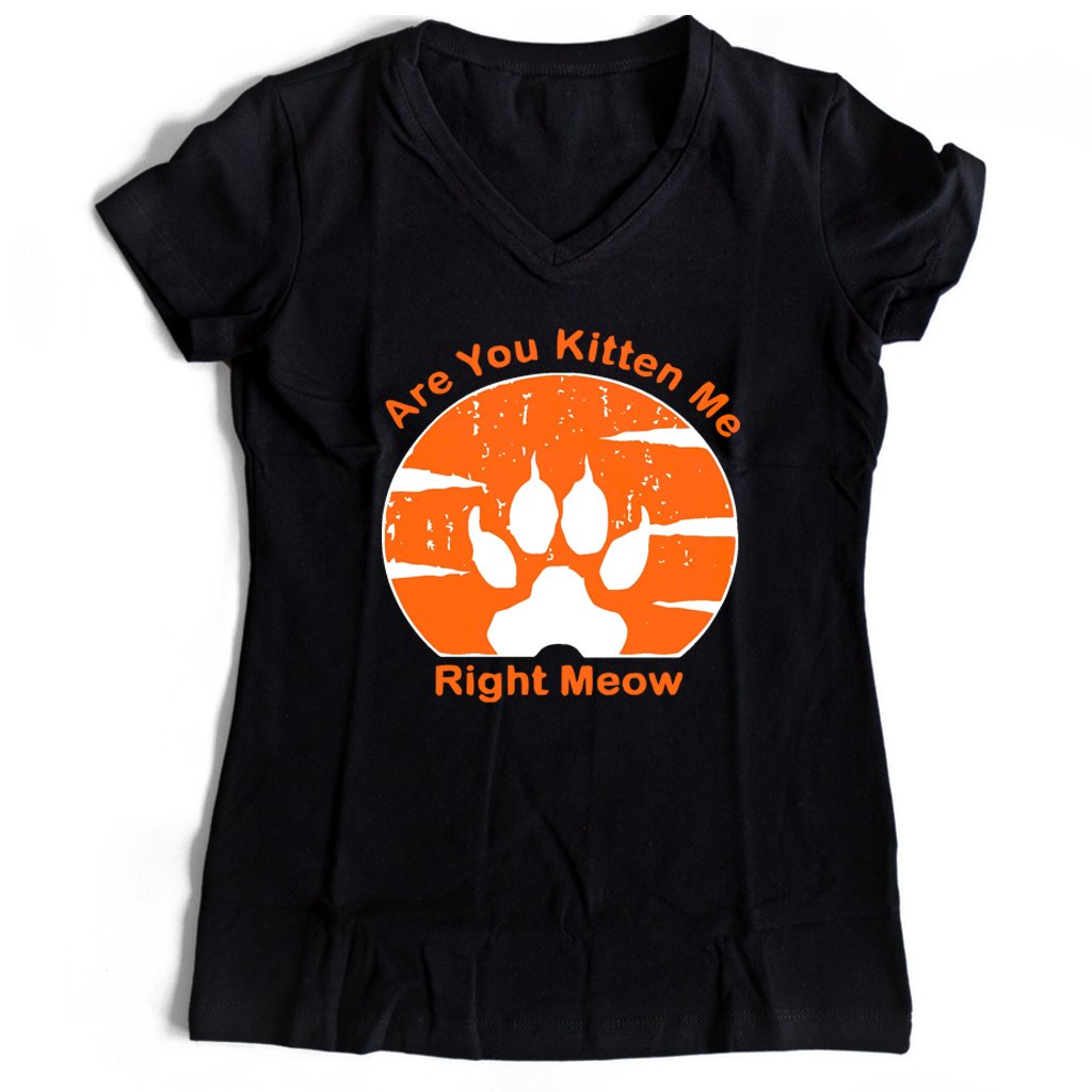 Are You Kitten Me Right Meow Vintage Women’s V-Neck Tee T-Shirt