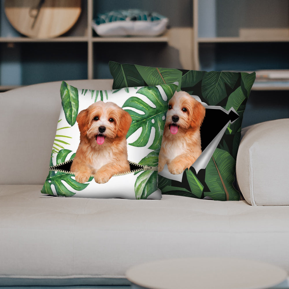 They Steal Your Couch – Havanese Pillow Cases V2 (Set of 2)