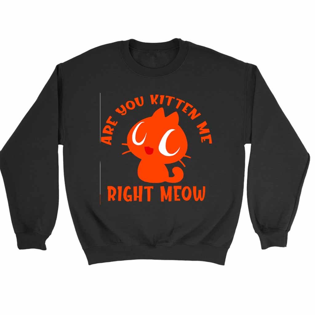 Are You Kitten Me Right Meow Are Sweatshirt Sweater