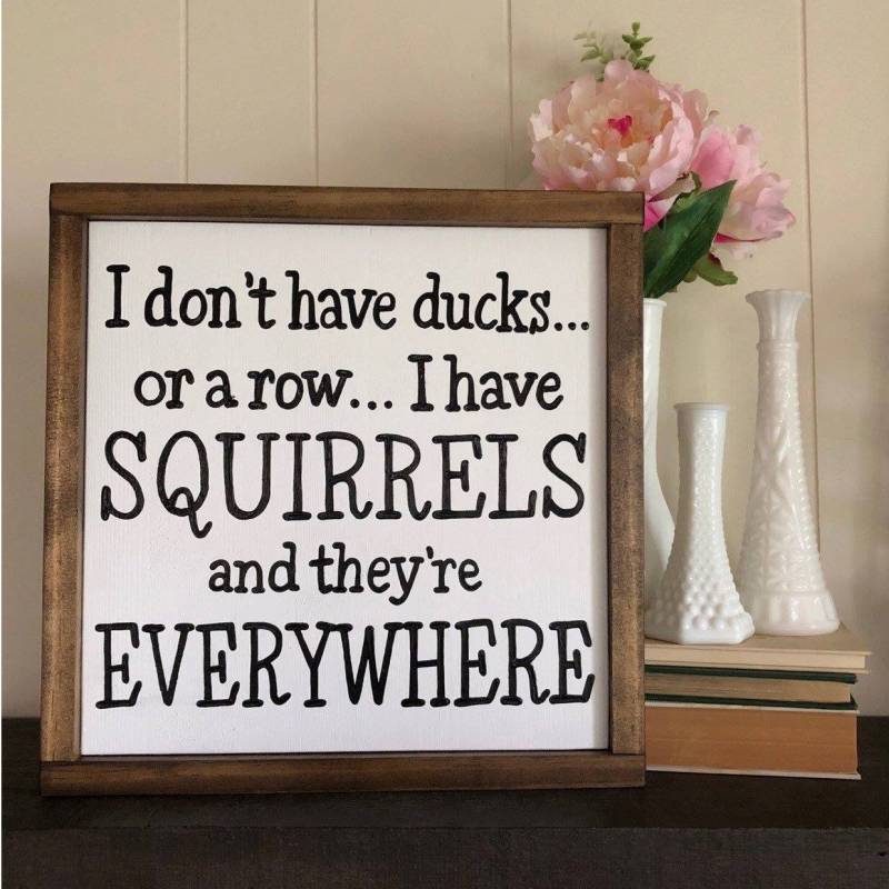 I don’t have ducks or a row i have squirrels and they’re everywhere ...