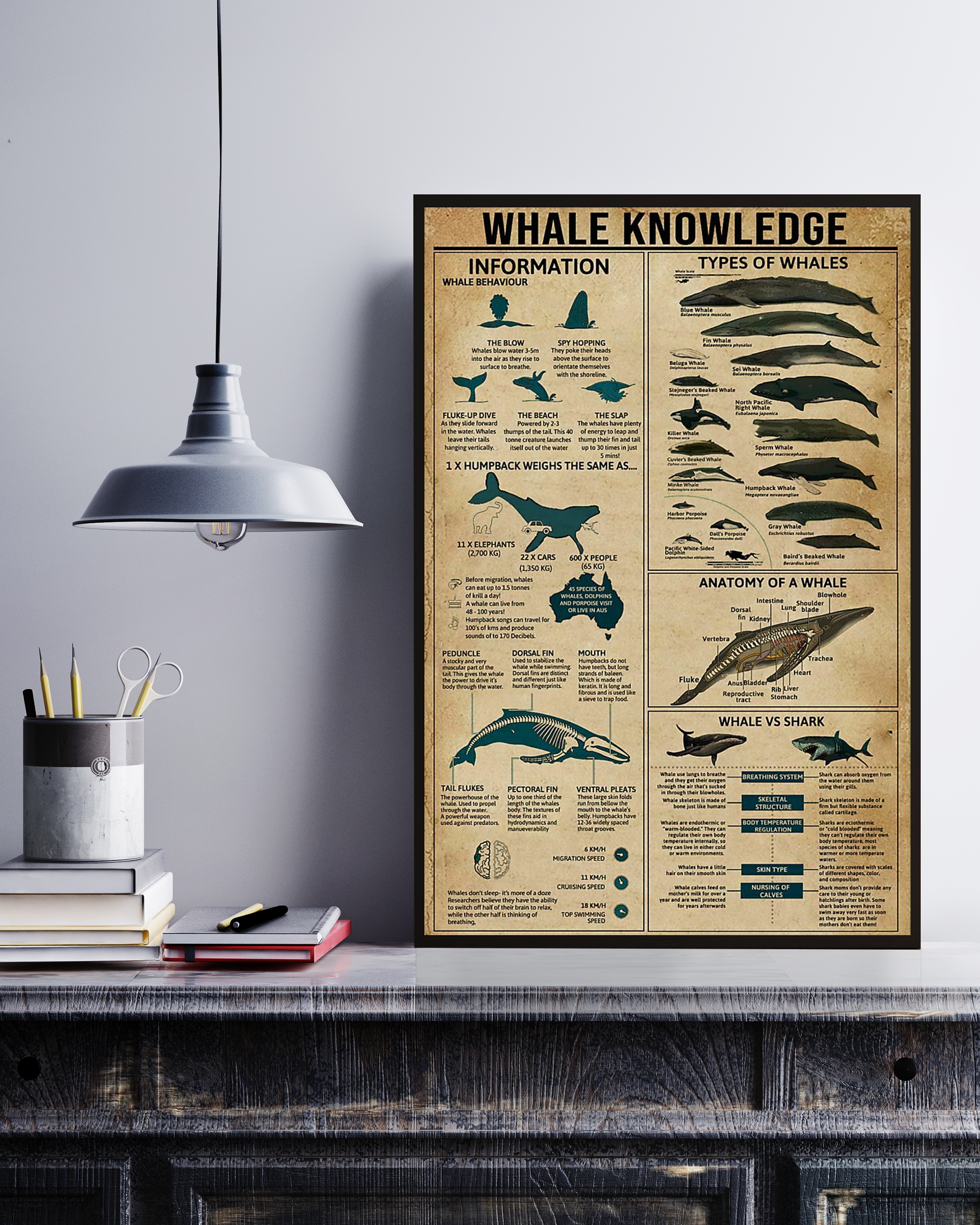 Whale Poster Portrait Knowledge Poster No Frame