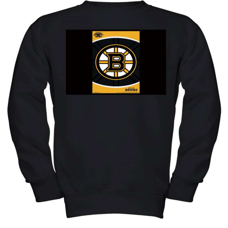 International Boston Bruins Logo Premium Wall Youth Sweatshirt