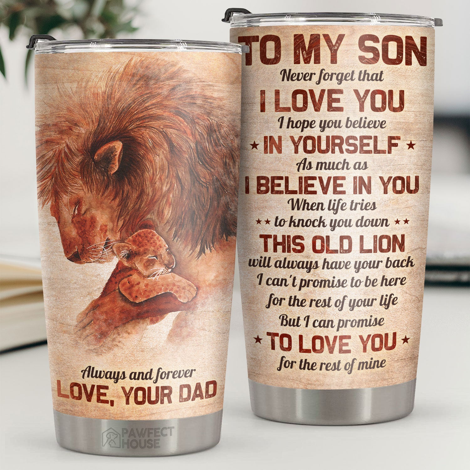 When Life Tries To Knock You Down, This Old Lion Will Always Have Your Back – Tumbler – To My Son, Gift For Son, Son Gift From Dad, Birthday Gift For Son