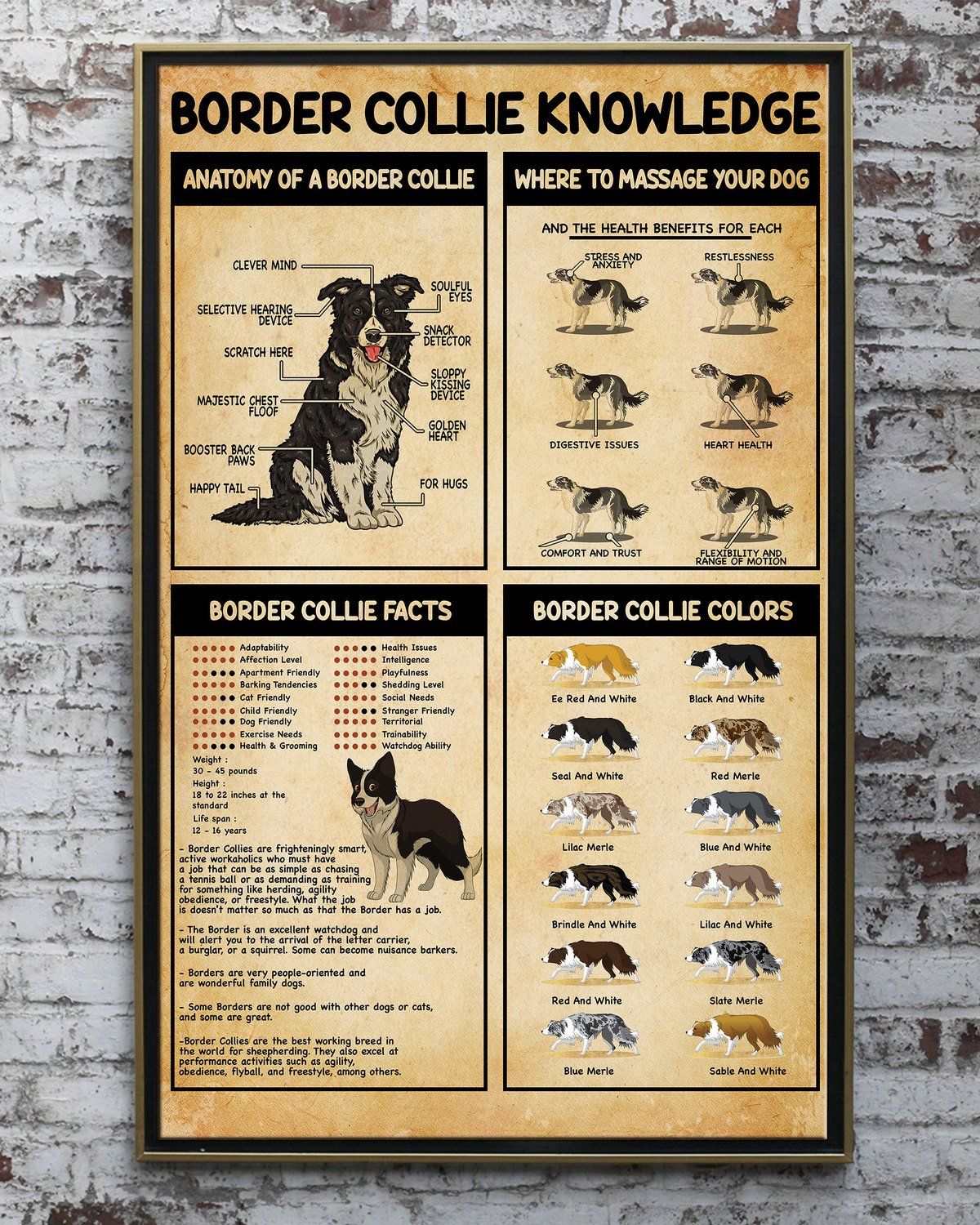 Border Collie Knowledge Vertical Paper Canvas Prints Poster Wall Art