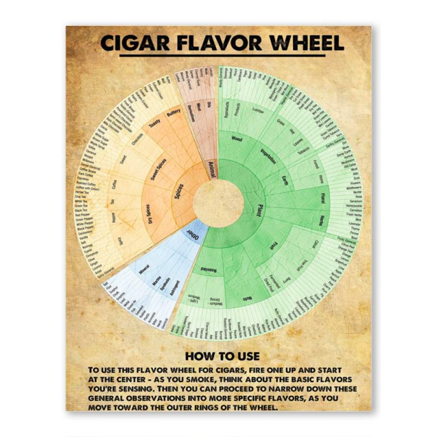 Cigar Flavor Wheel Vertical Poster Gift For Cigar Smoker - Poster Art ...