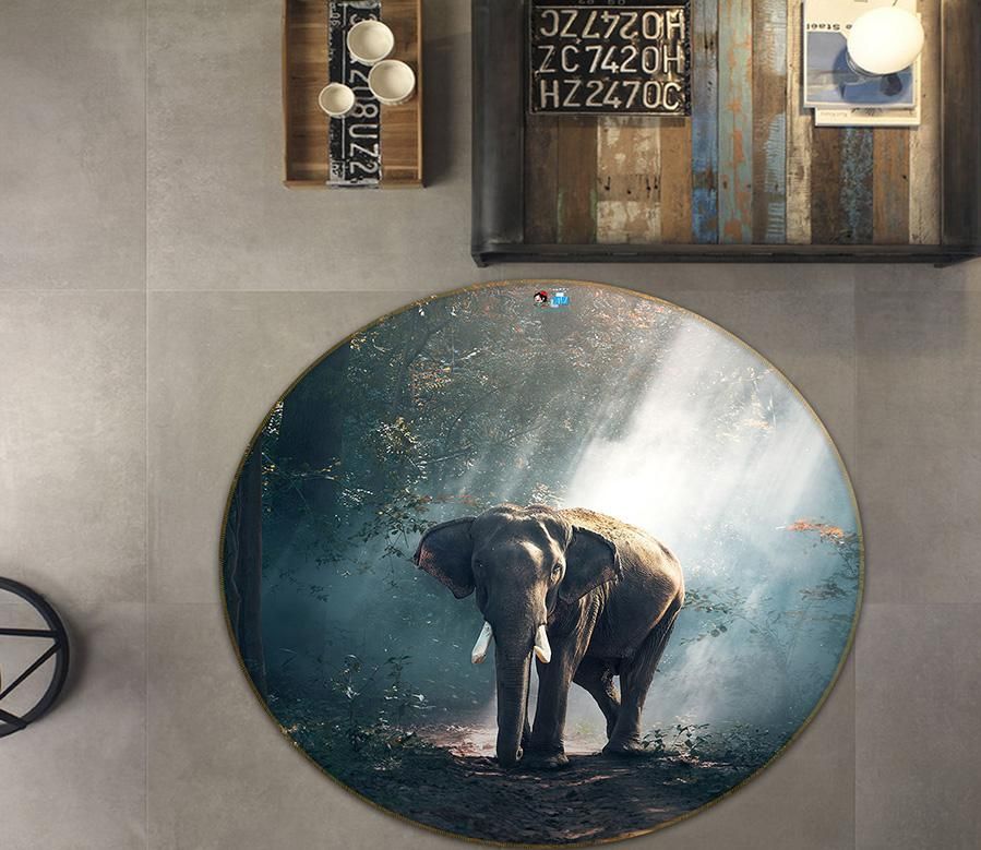 3d Elephant 64095 Round Rug Home Decor