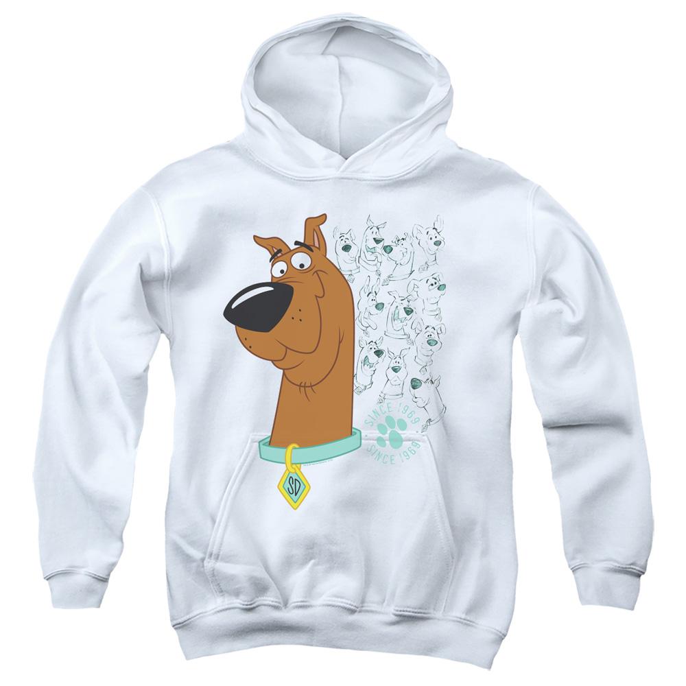 Scooby Doo Evolution Of Scooby Doo - Youth Hoodie - Emprints Store