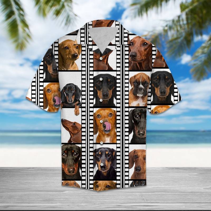 Dachshund Film Pattern Hawaii Shirt Ha56776