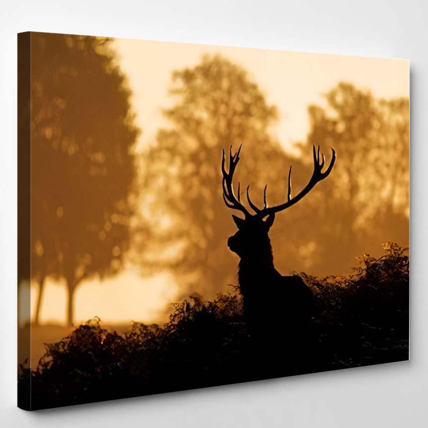 Silhouette Red Deer 1 – Deer Animals Canvas Print