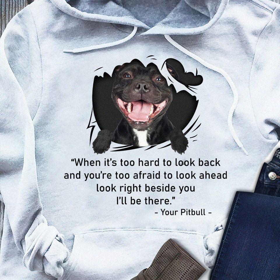 When You Are Too Afraid, Look Right Beside You I Will Be There Your Pitbull Dog Lovers Gift Standard Hoodie