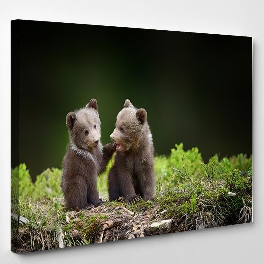 Two Young Brown Bear Cub Forest 3 – Bear Animals Canvas Print