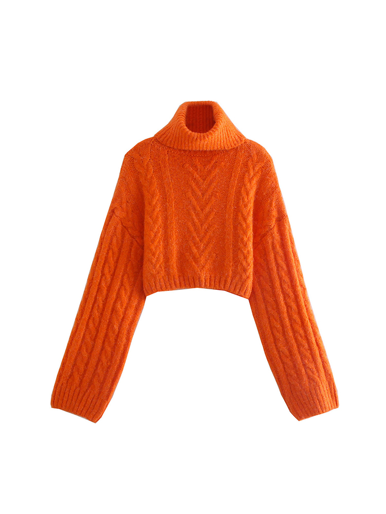 Willshela Women Fashion Orange Cropped Knit Sweater High Neck Long Sleeves Woman Casual High Street Knitted Pullover Winter alx