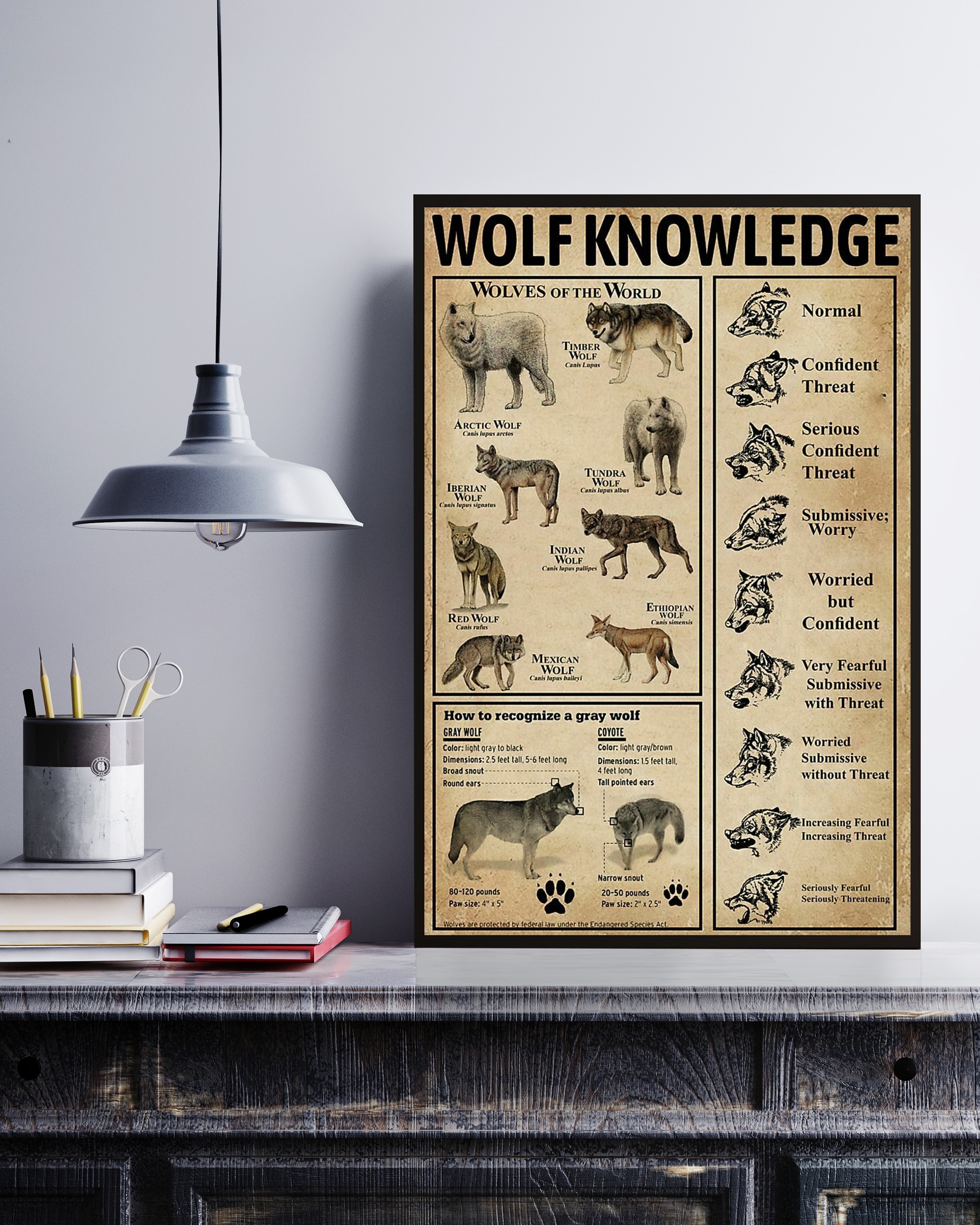 Wolf Type Poster Portrait Knowledge Poster No Frame